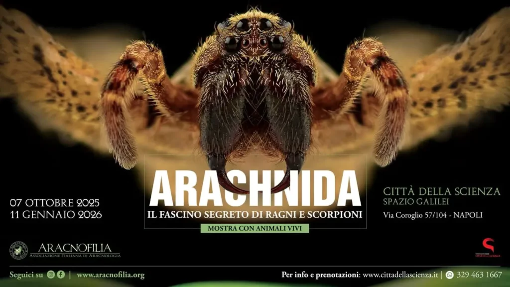 Mostra Arachnida a Città della Scienza Napoli con ragni e scorpioni