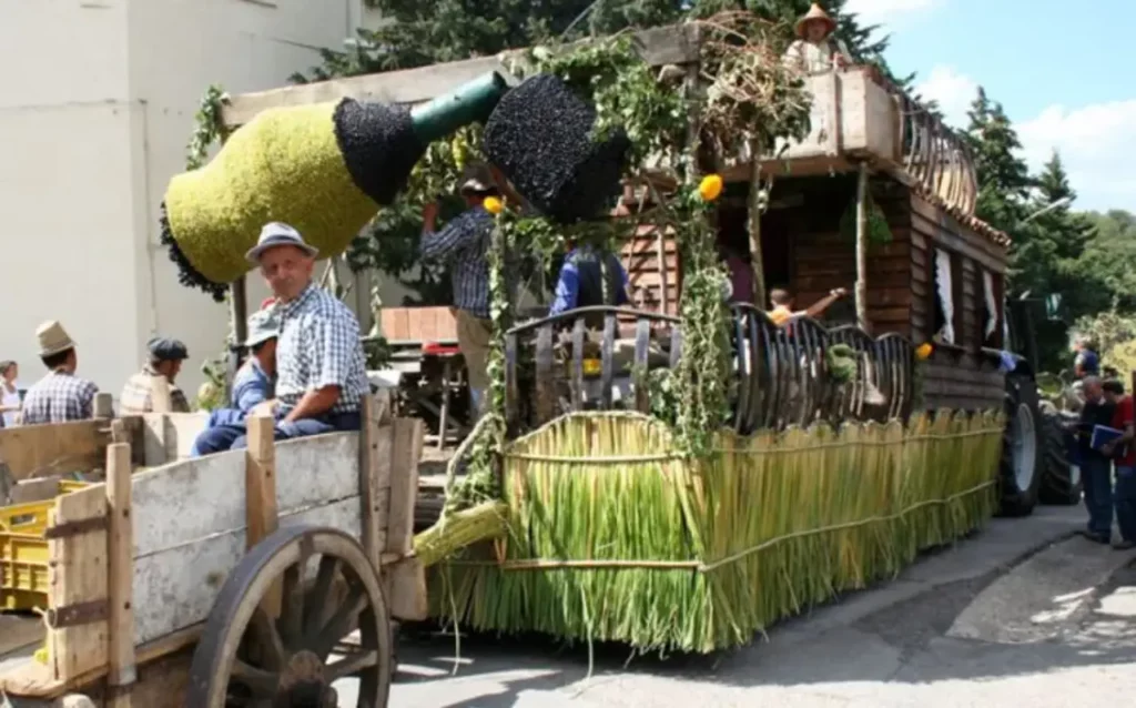 La Festa dell'Uva a Solopaca