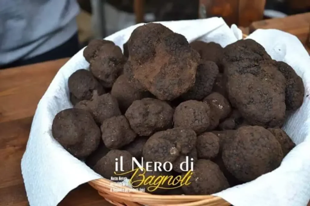 Il Tartufo di Bagnoli Irpino