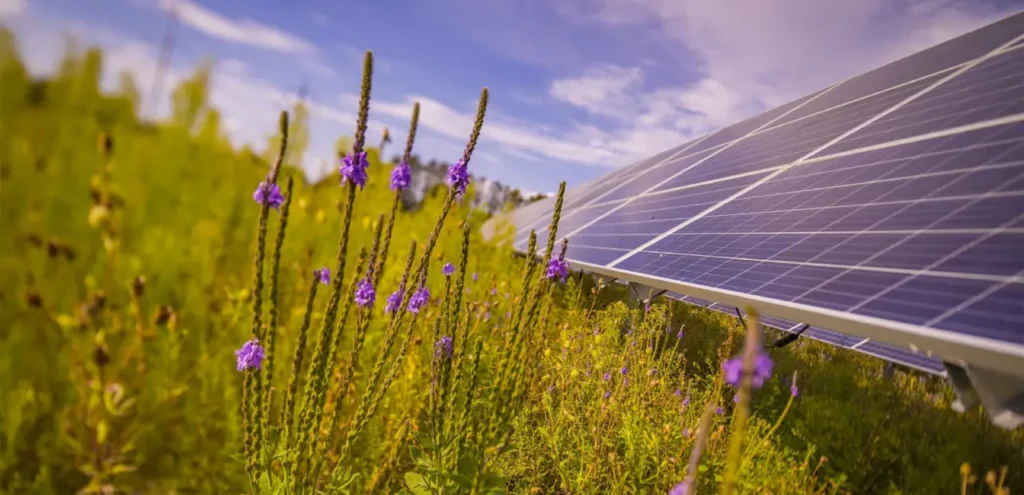 energie rinnovabili