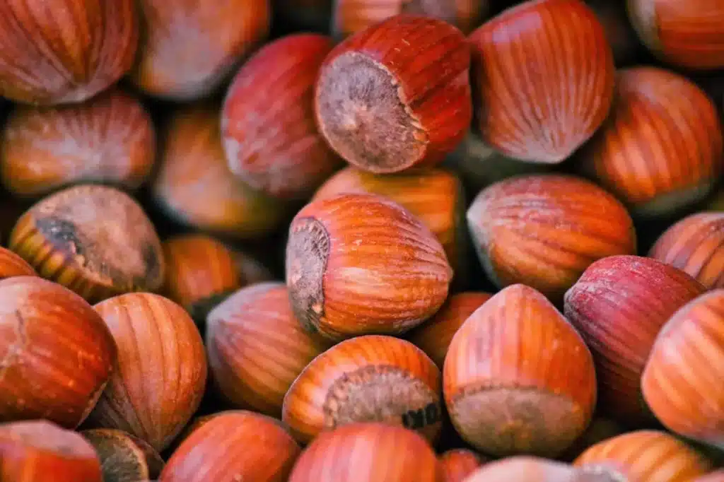 La Sagra della Nocciola a Giffoni