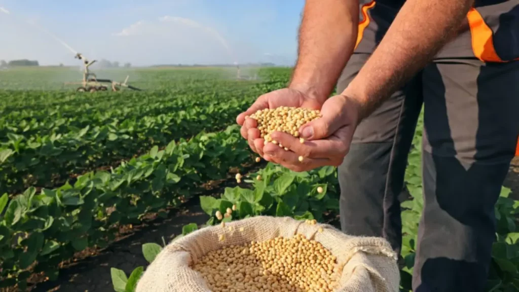 lavorare la terra