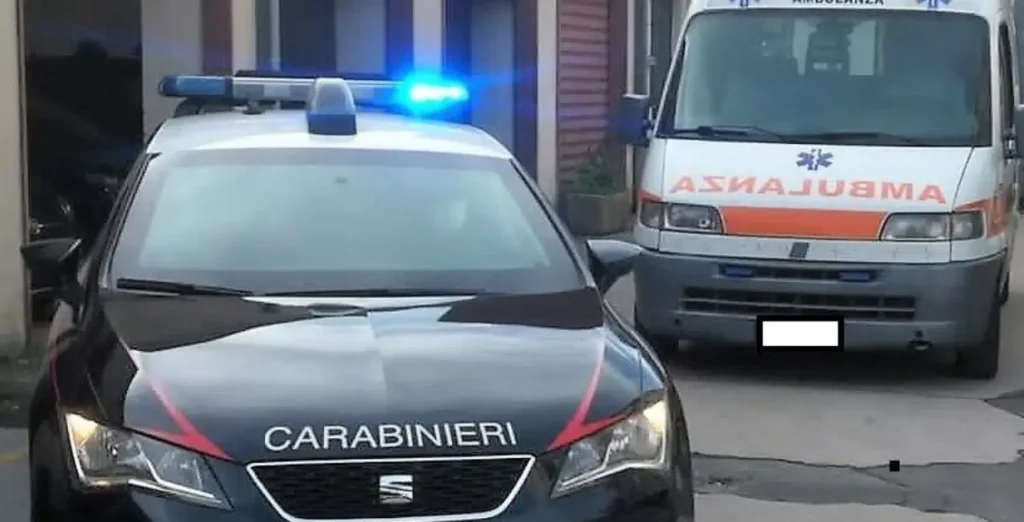 Olena Vasyl’yeva Somma Vesuviana