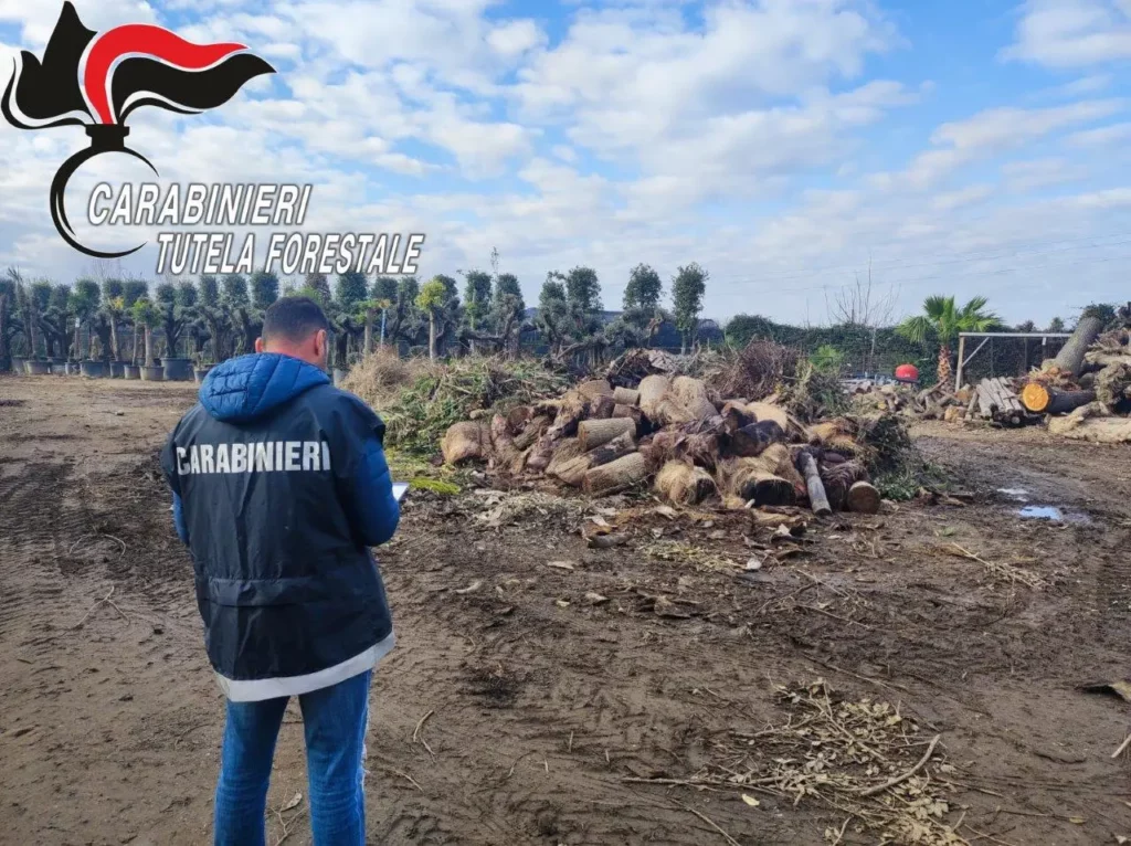carabinieri tutela forestale