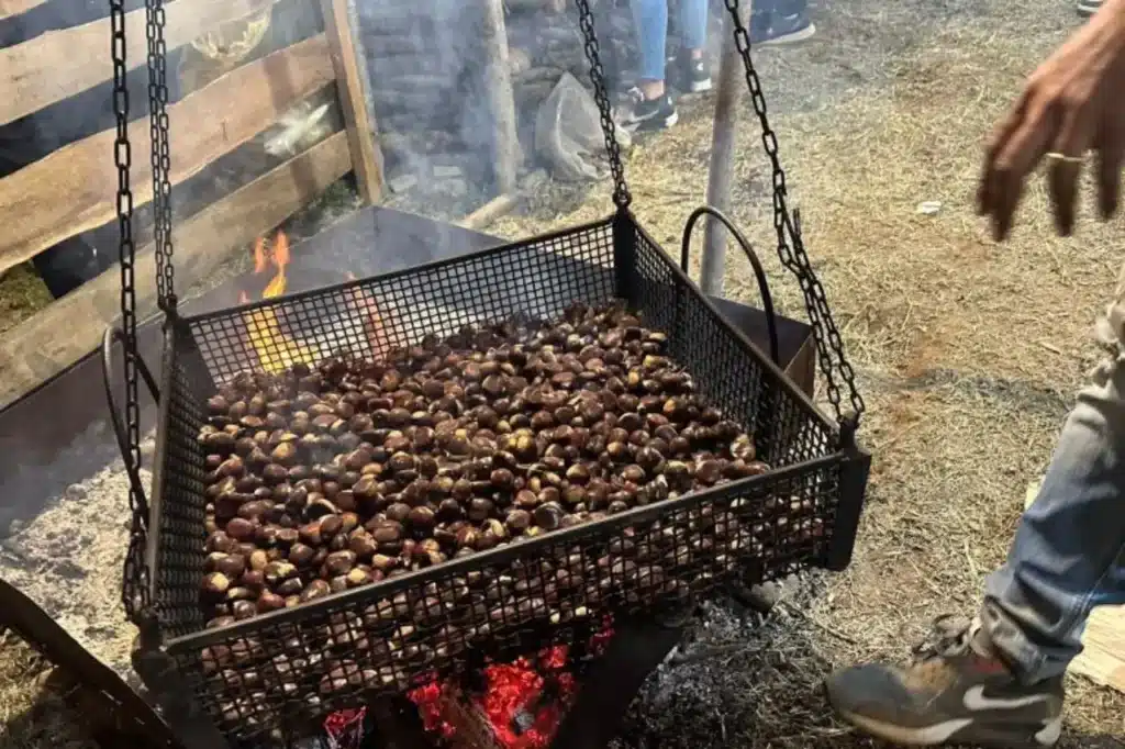 Festa della Castagna a Roccadaspide
