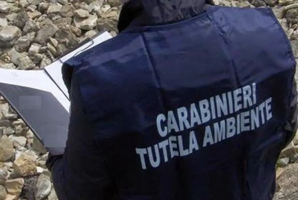 Carabinieri tutela ambientale