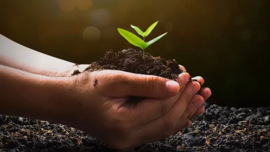 La rappresentazione del green
