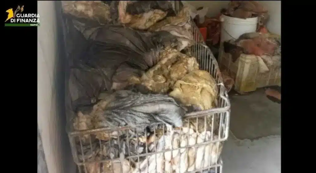 laboratorio clandestino carne Napoli