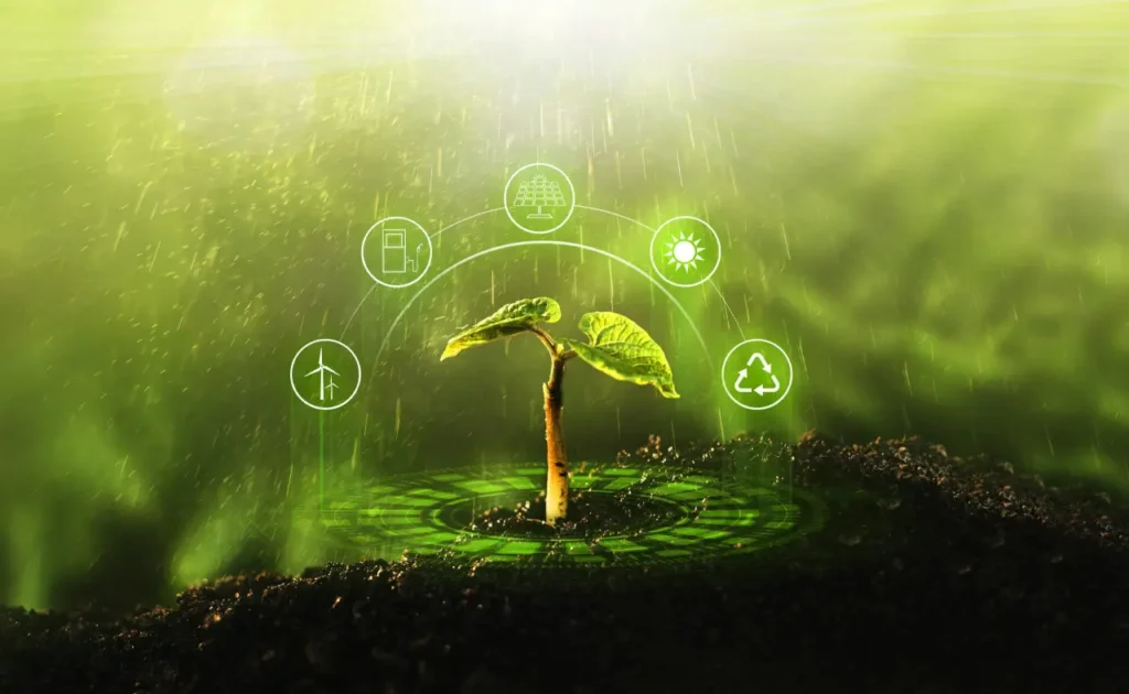 rappresentazione della transizione ecologica