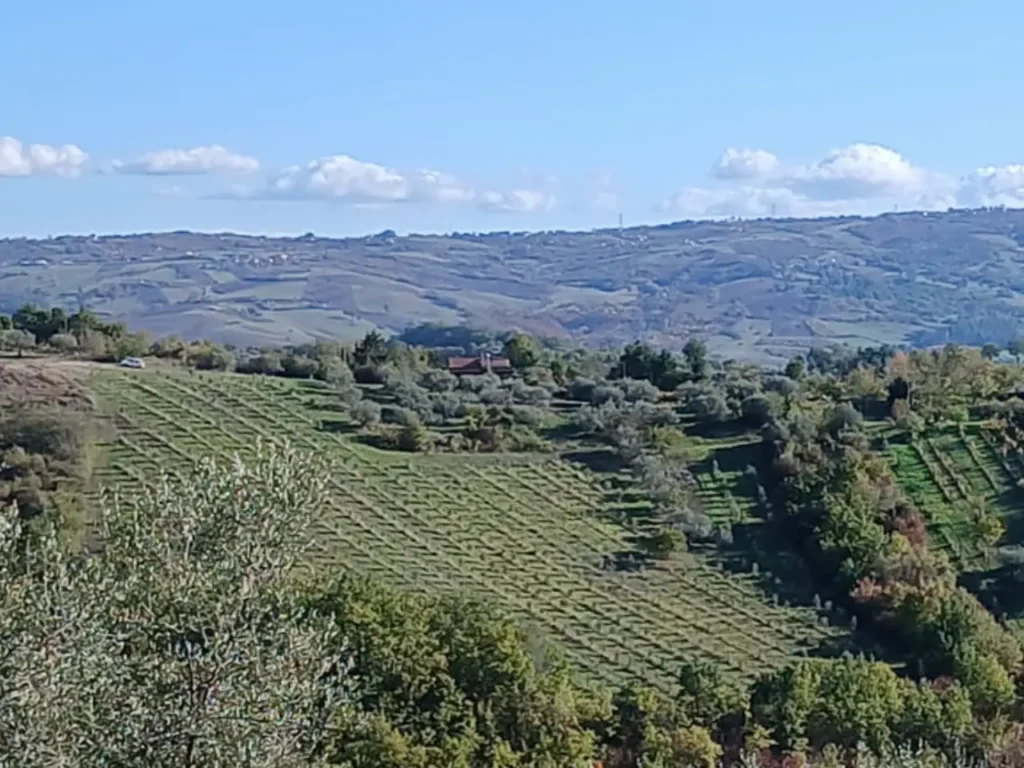 Mappa del Gusto della Baronia