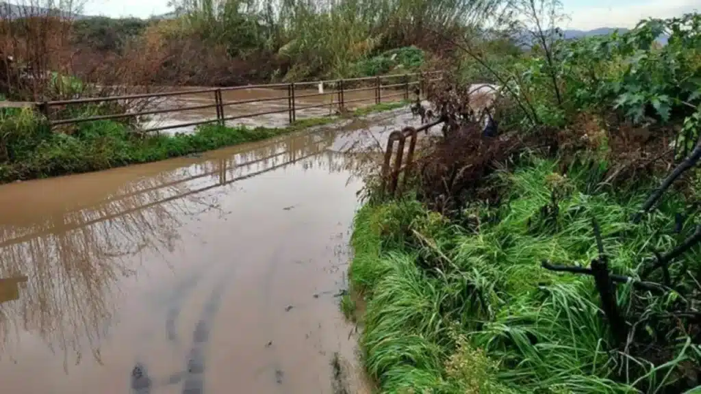 Rio Lanzi
