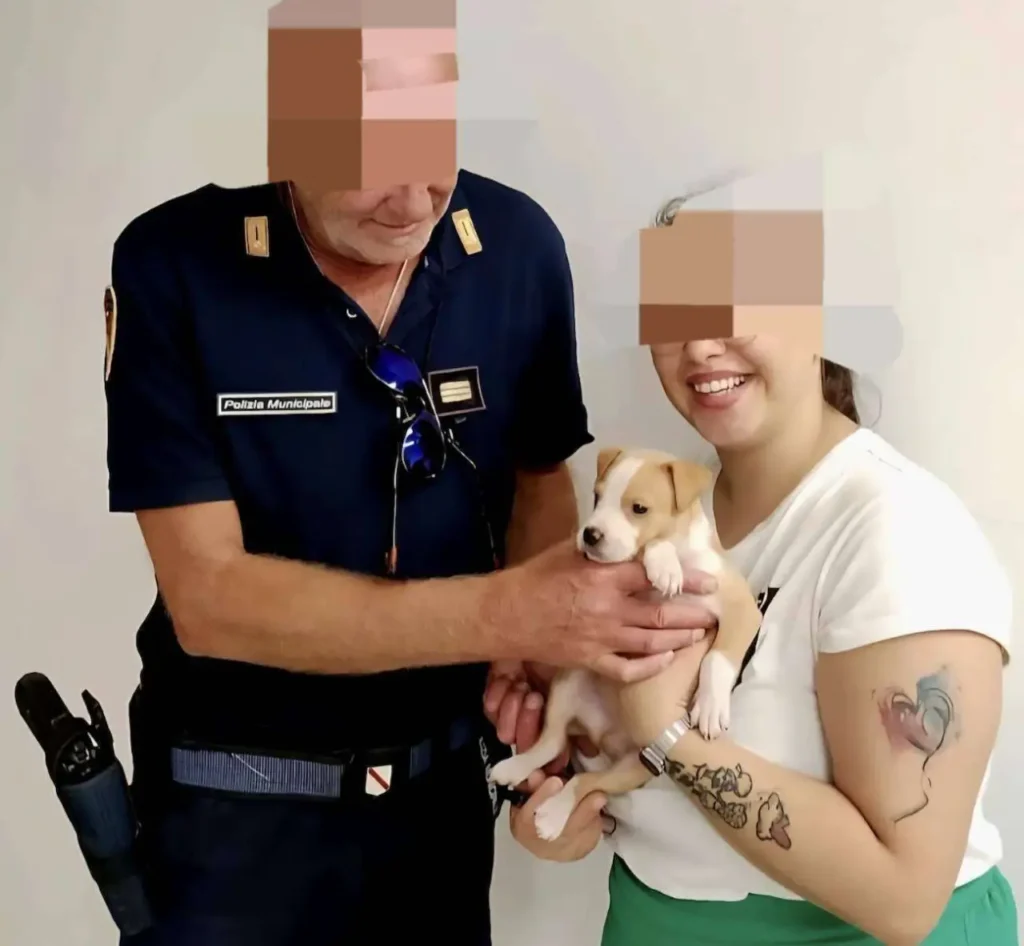 cucciolo salvato ad Arzano