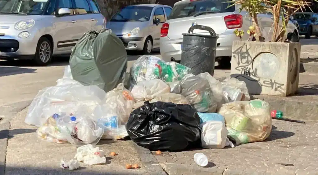Rifiuti in strada