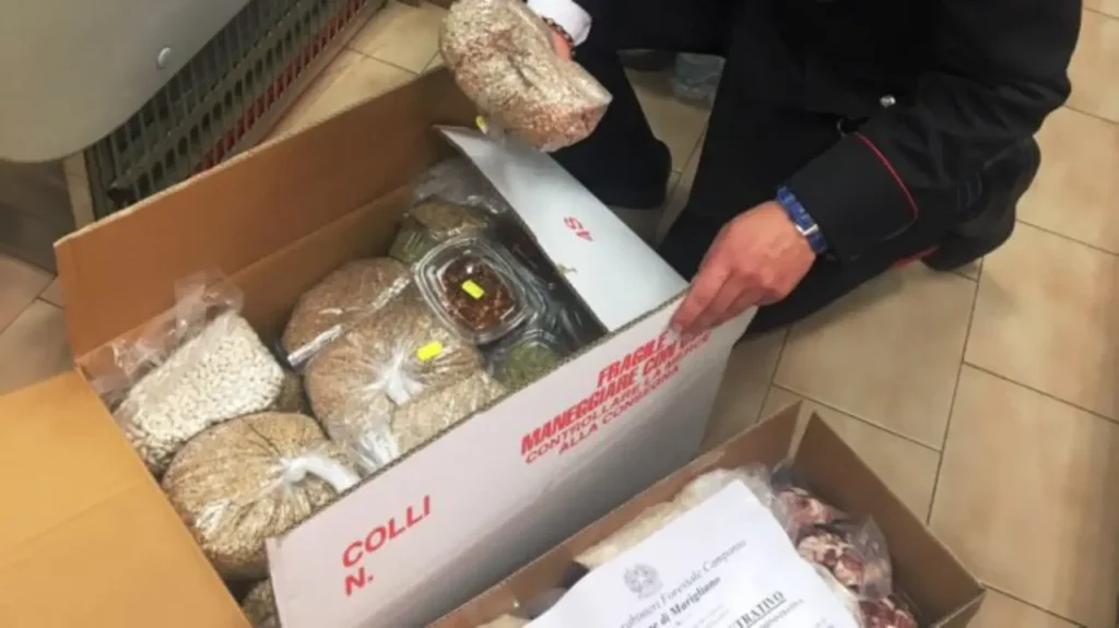 sequestro alimenti