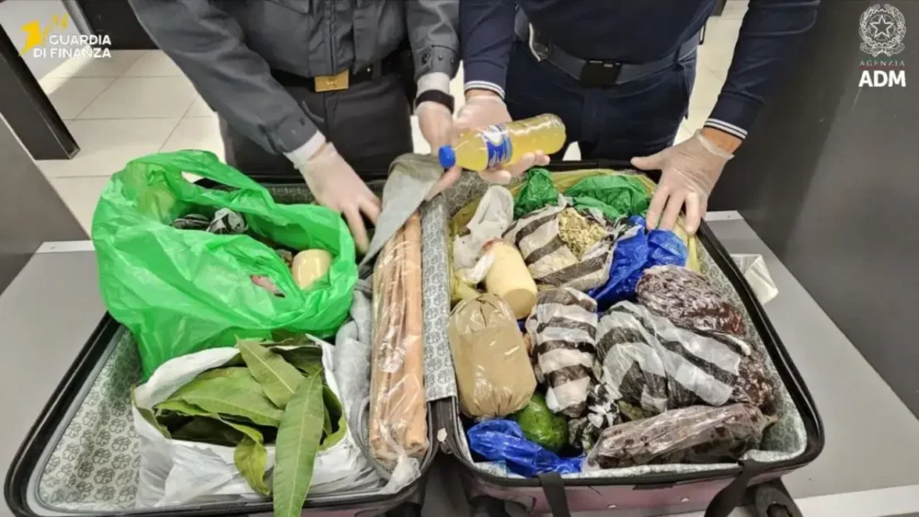 botti illegali Campania