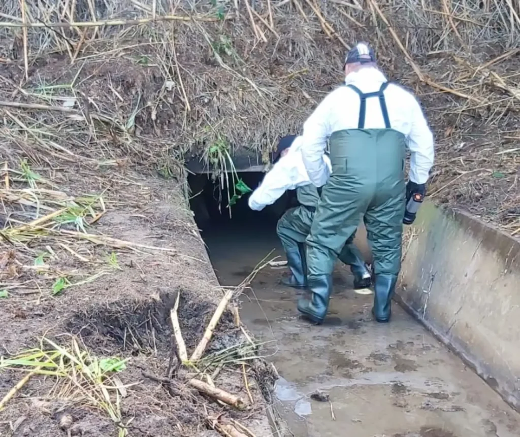 controlli scarichi abusivi lago Fusaro