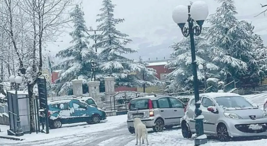 neve