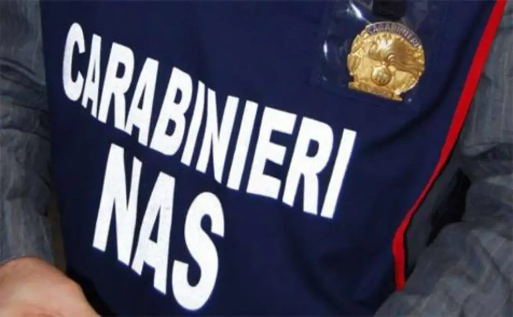 Salerno macello abusivo, operazione dei NAS