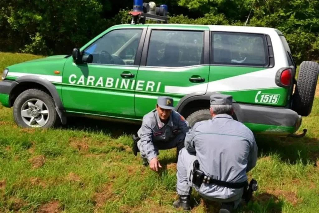 Carabieri forestali