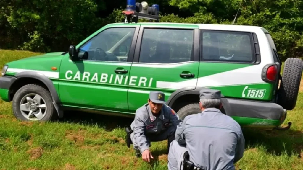 Carabieri forestali