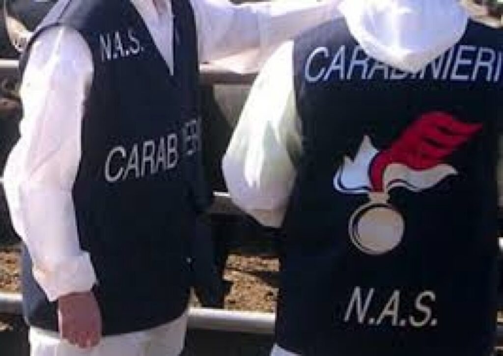 nas carabinieri