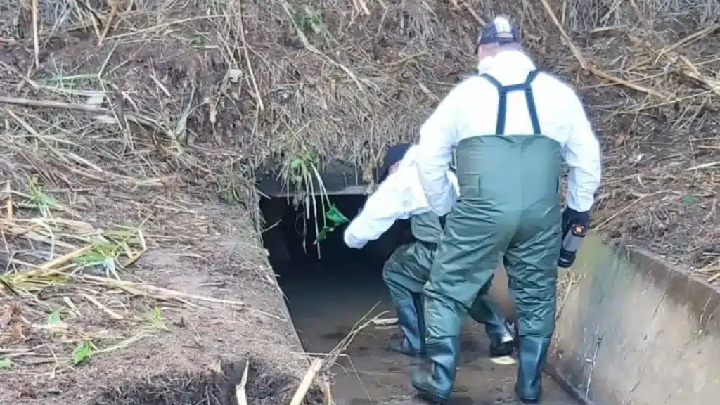 controlli scarichi abusivi lago Fusaro