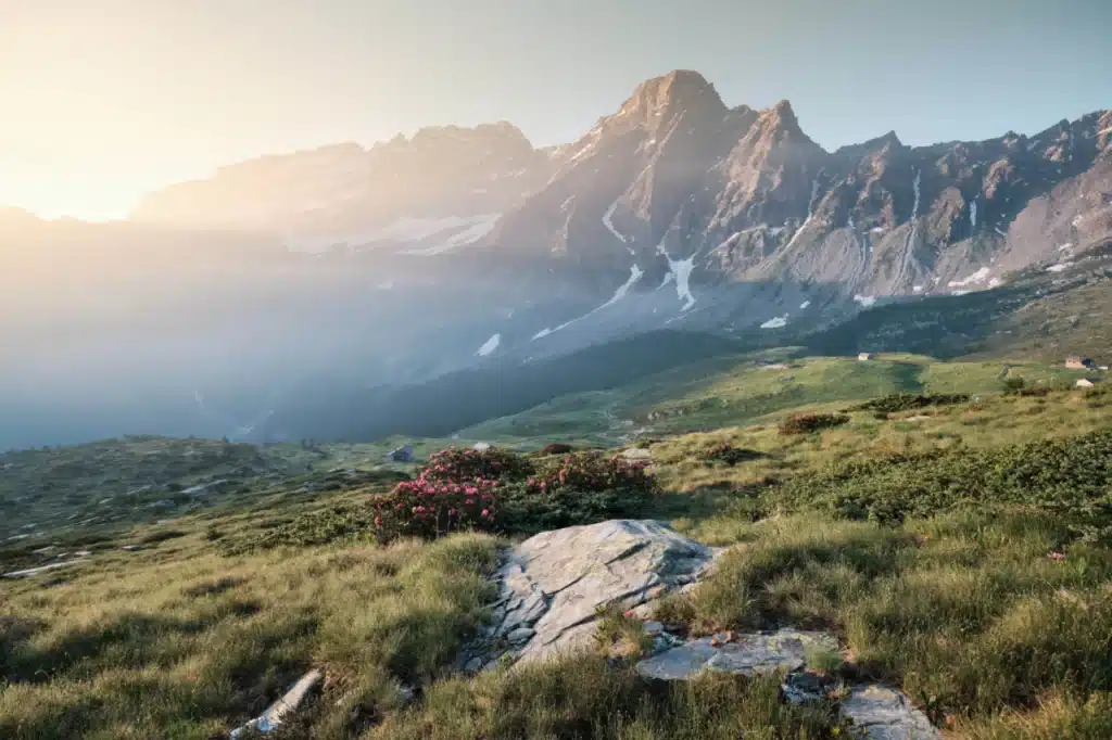 Montagna
