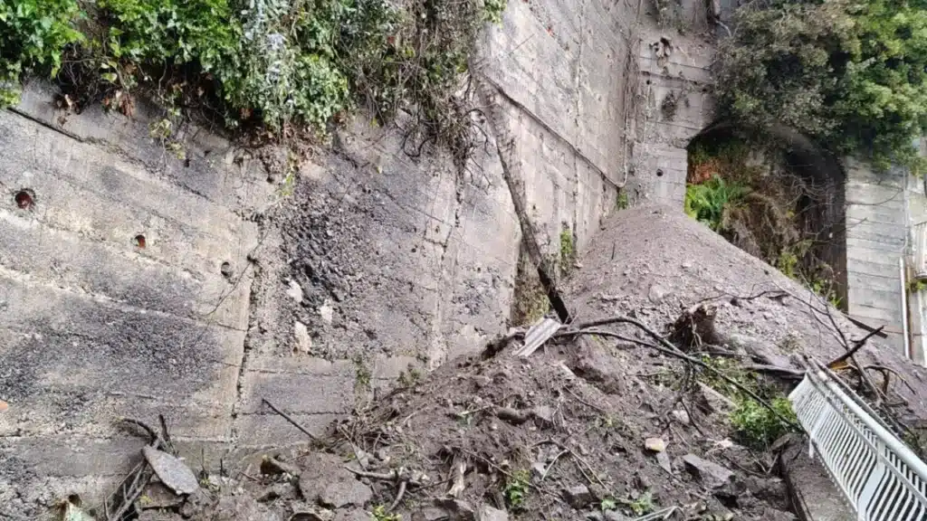 Frana Vietri