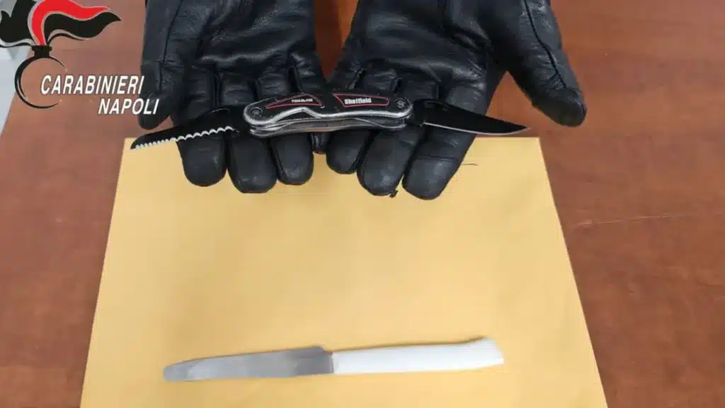I coltelli sequestrati dai Carabinieri nell'Istituto Piscopo ad Arzano.