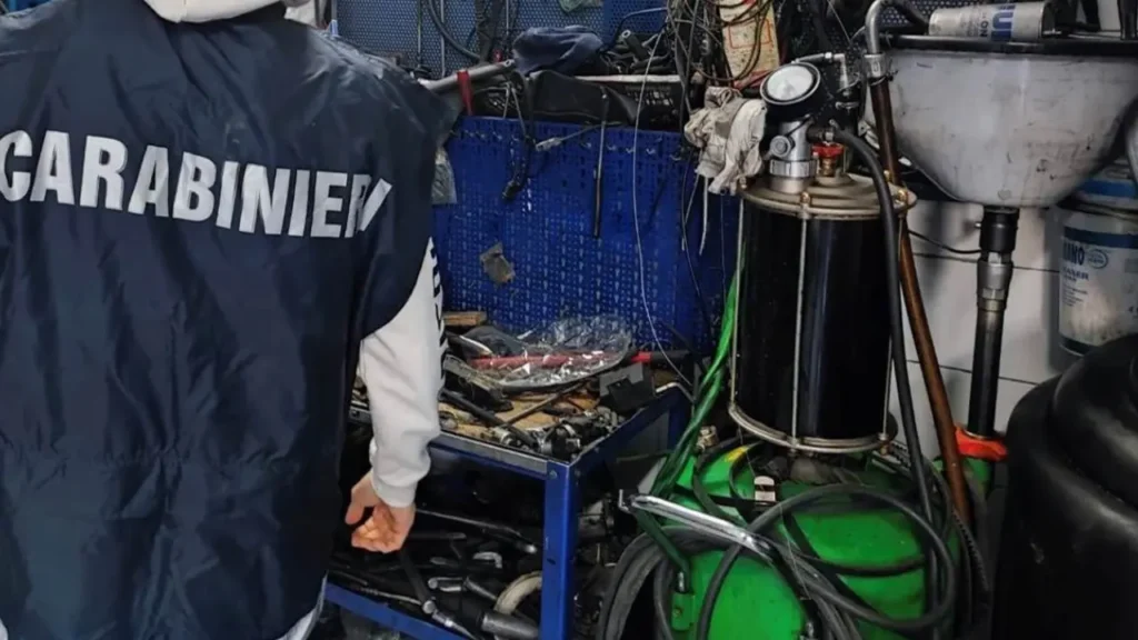 Foto dei Carabinieri Forestali durante il sequestro a Casaluce.
