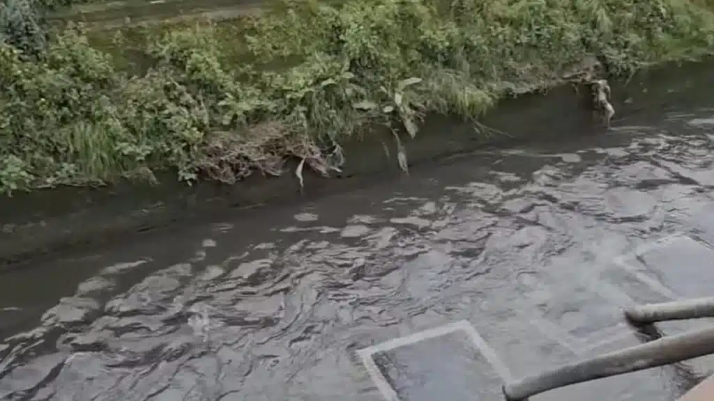 Rio Sguazzatorio