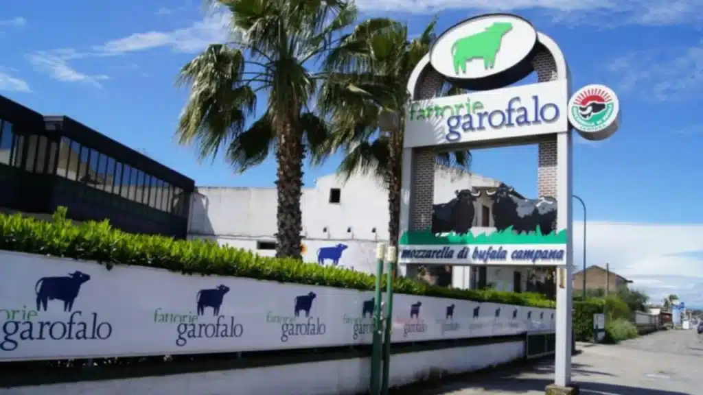 Garofalo