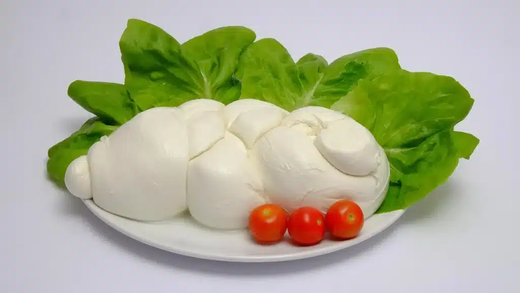 mozzarella di bufala Campana DOP