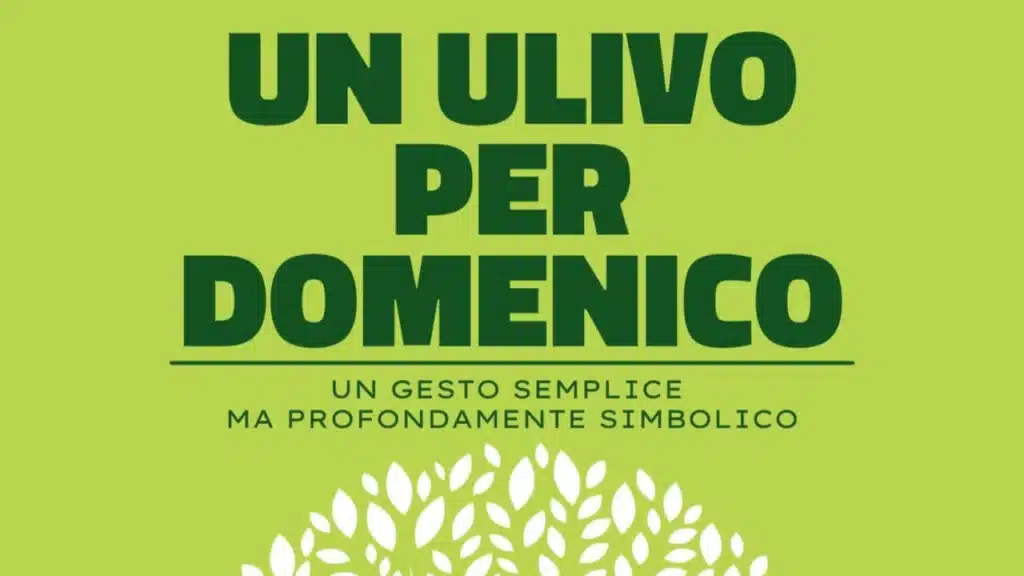 Un ulivo per Domenico - locandina