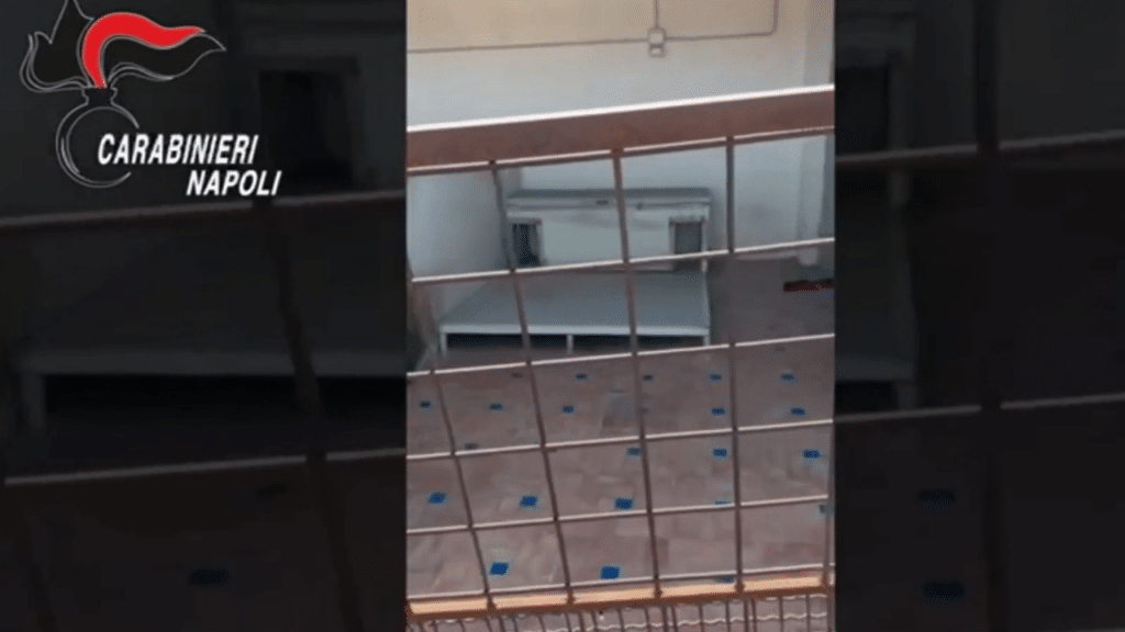 Gabbia utilizzata per i cuccioli. Foto: Carabinieri Napoli