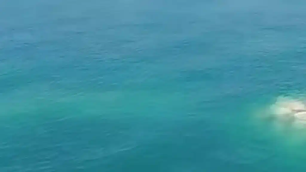 Foto mare di Bagnoli.