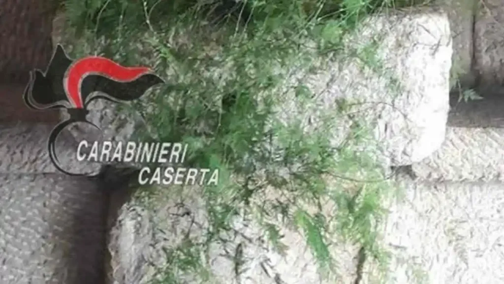 Sarcofago romano