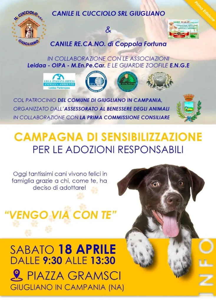 L'evento a Giugliano Vengo Via con Te