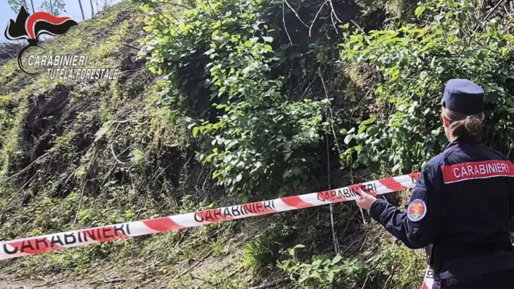 Carabinieri