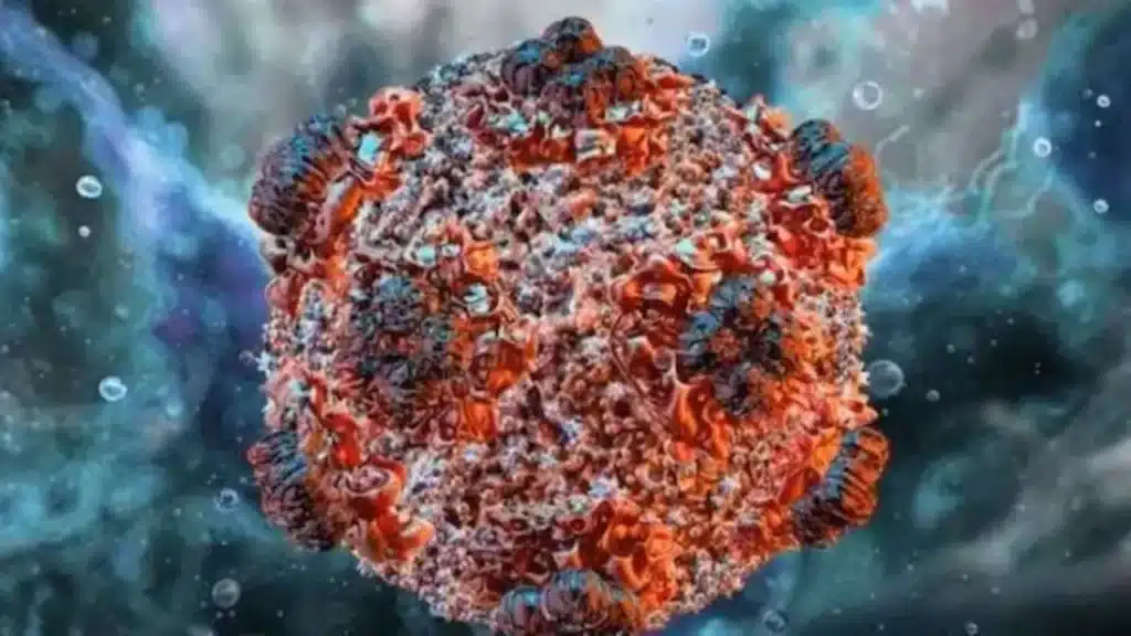 Hantavirus