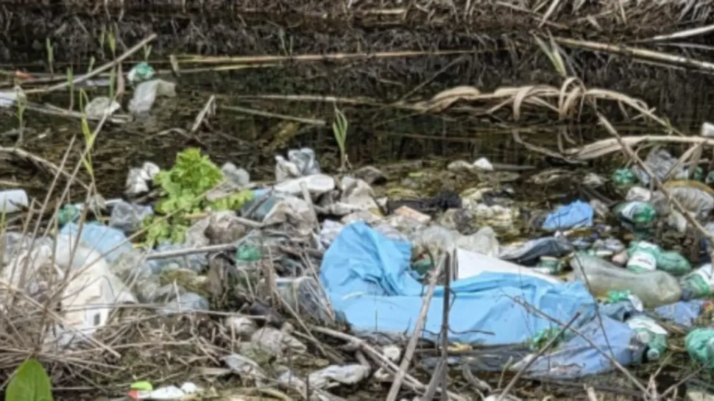 Varcaturo rifiuti nel ruscello