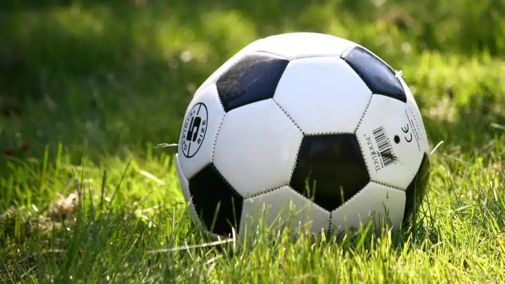 Pallone in un campo