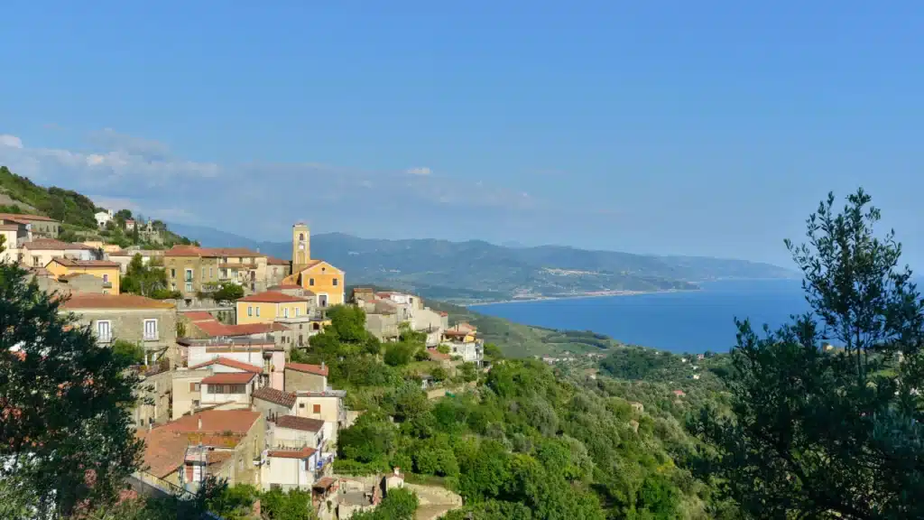 Pollica