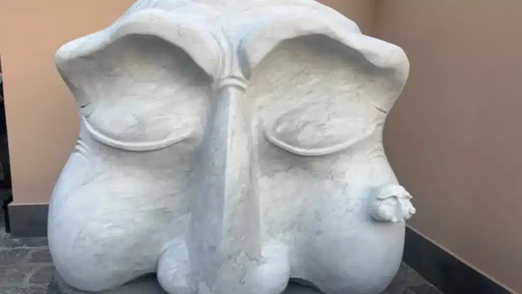 Maschera Pulcinella Oymak