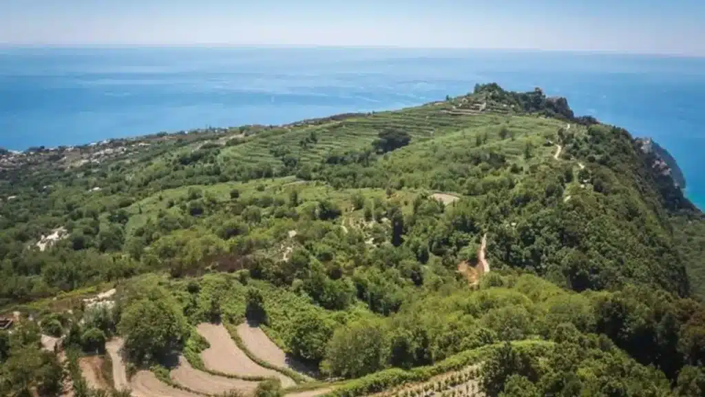 Ischia-Immagine di repertorio