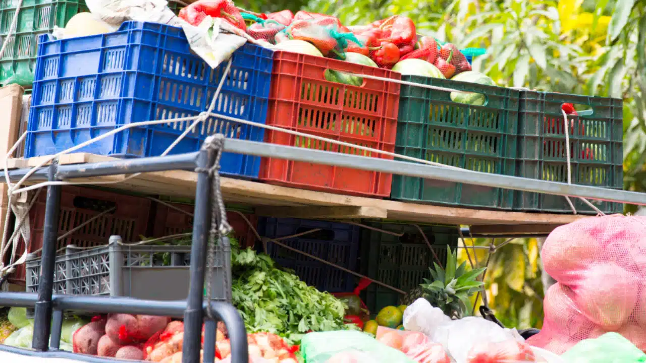 Napoli, blitz contro il traffico di stupefacenti nei camion dell’ortofrutta dalla Spagna: il Gup condanna dieci imputati