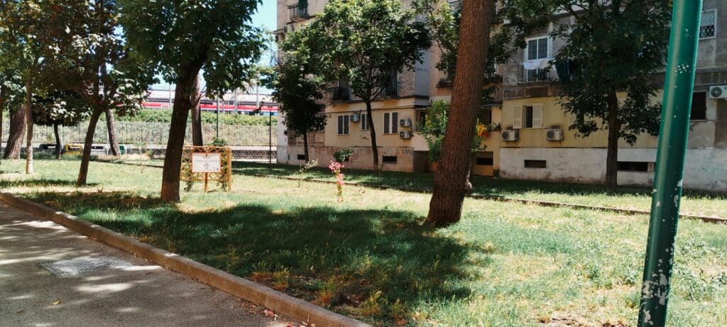 Nei viali dell'Amica Geniale