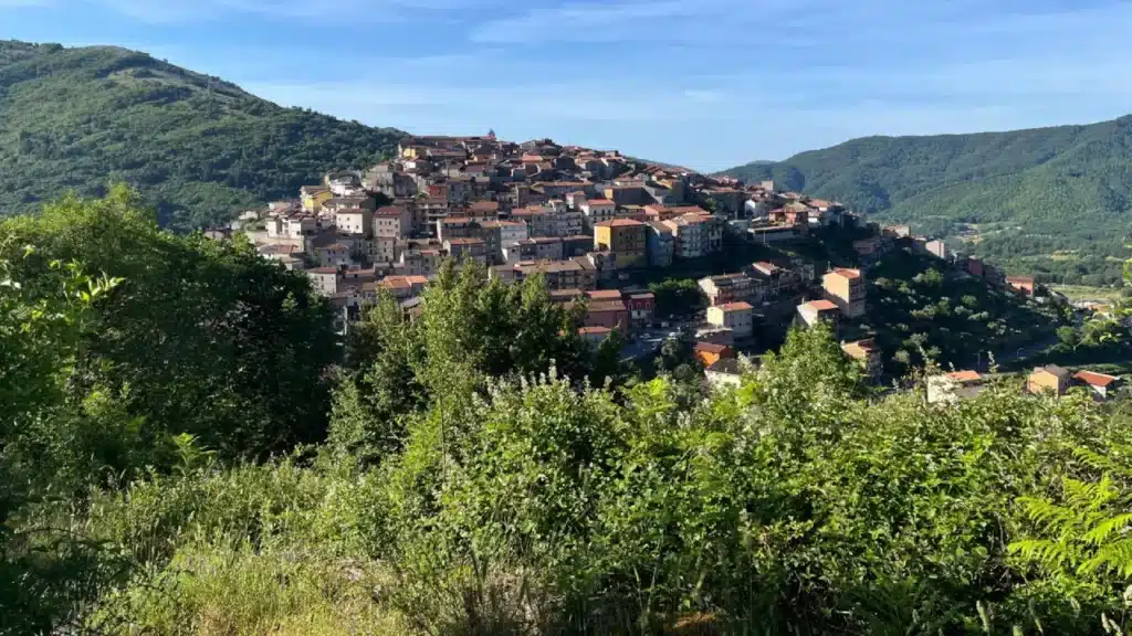 Sanza