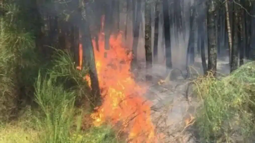 Incendio-Immagine di repertorio