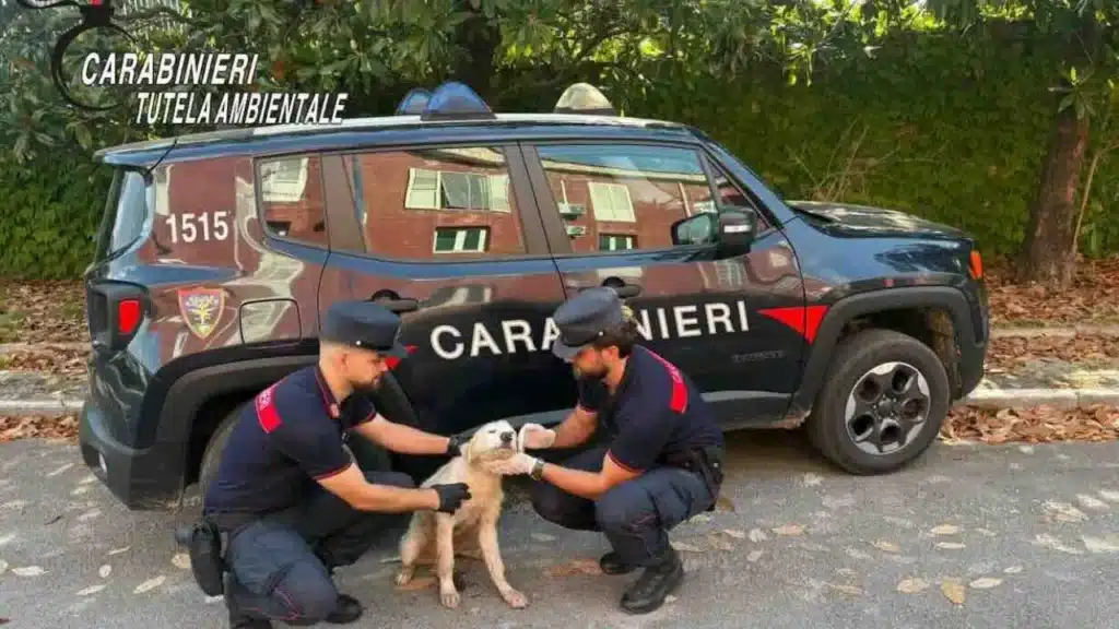 Carabinieri Forestali Giugliano